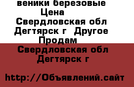 веники березовые › Цена ­ 40 - Свердловская обл., Дегтярск г. Другое » Продам   . Свердловская обл.,Дегтярск г.